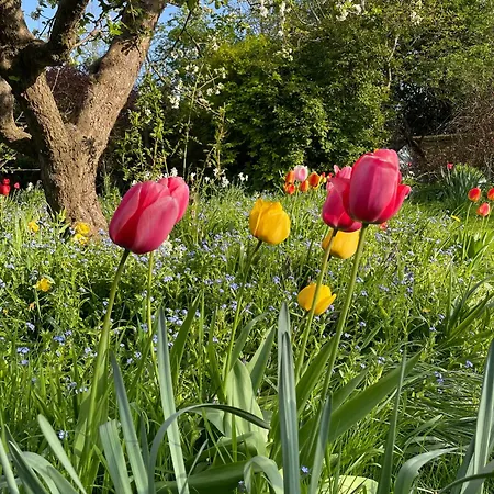 Apartamento Apricot Yarm